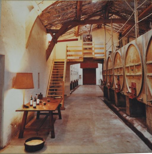 Photographie, 1982 (collection particulière) : cuves en béton et espace de dégustation.