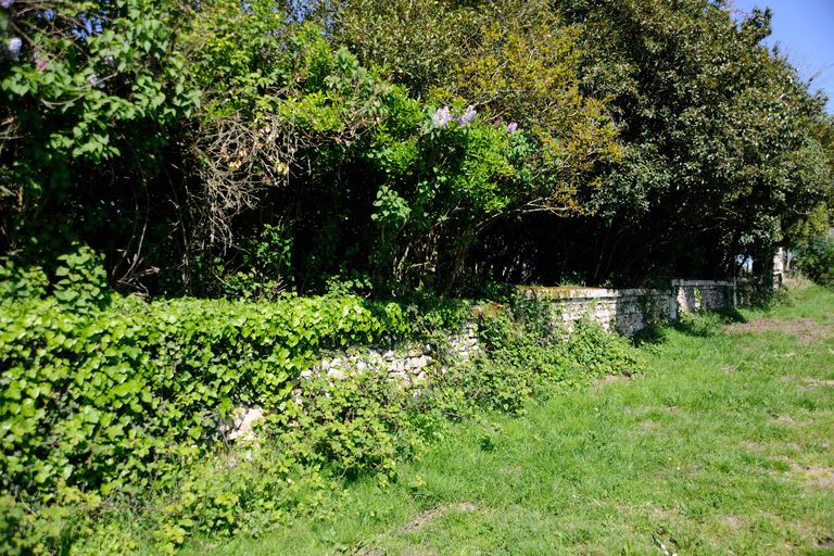 Mur délimitant la propriété à l'est.