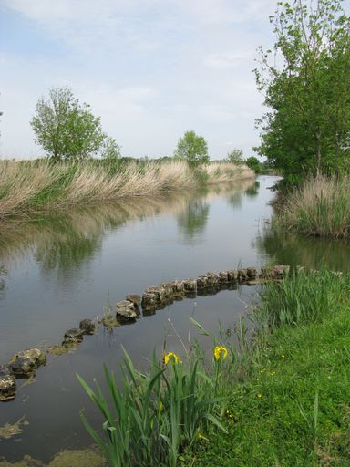 La rivière du Rambaud en amont de l'écluse de chasse.