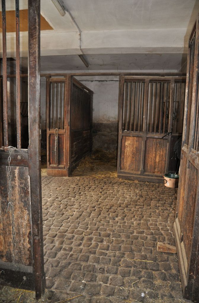Vue d'ensemble des box à chevaux.