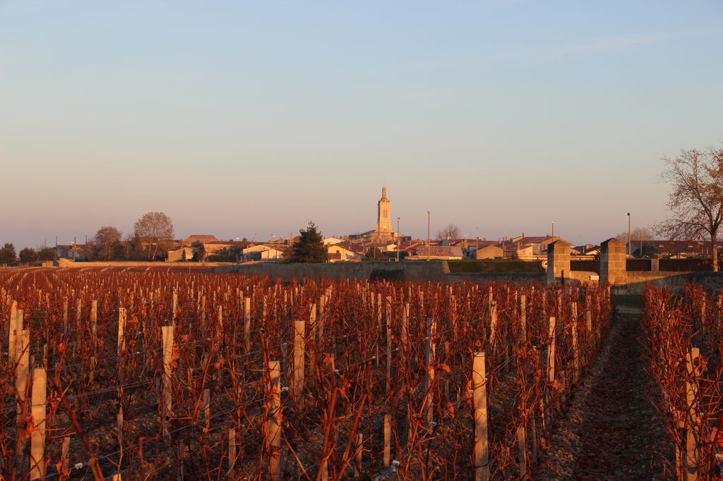 Vue du village depuis les vignes de Calon Ségur (au nord-ouest).