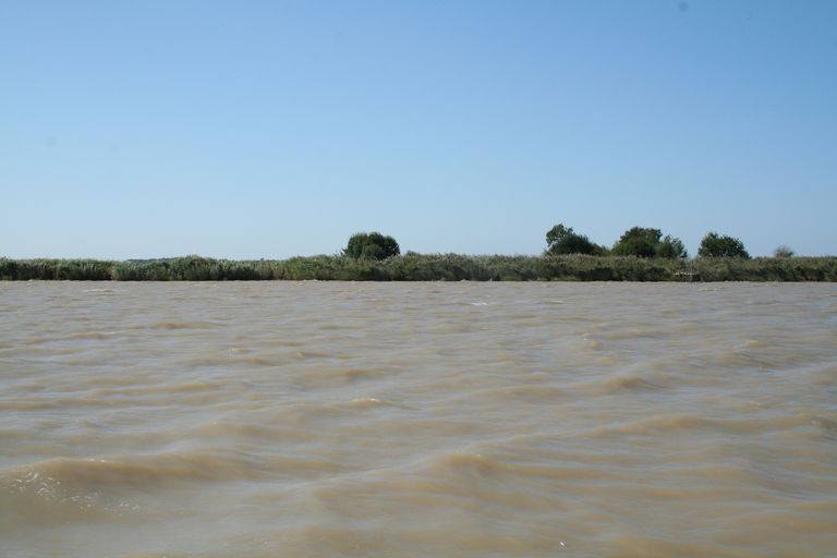 Vue du front est du Vasard de Beychevelle.