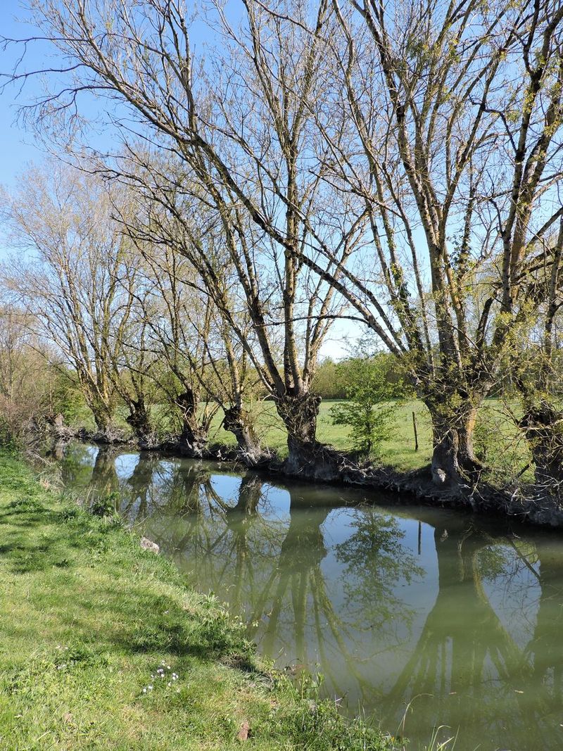La route d'eau de Guérine, ancien lit du Mignon.