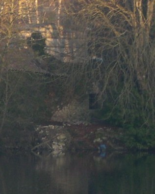 Tour du rempart dans les broussailles, vue depuis le square Halgand.