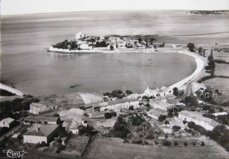 Vue aérienne du Caillaud et de l'anse vers 1950.