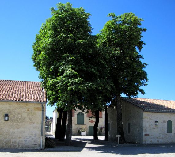 Chai : pignon ouest.