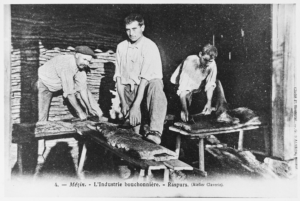 Atelier Claverie : le râpage. Carte postale. Photo, P. Bonhotal. Ed. G. d'Almeïda, vers 1910 (Coll. particulière).