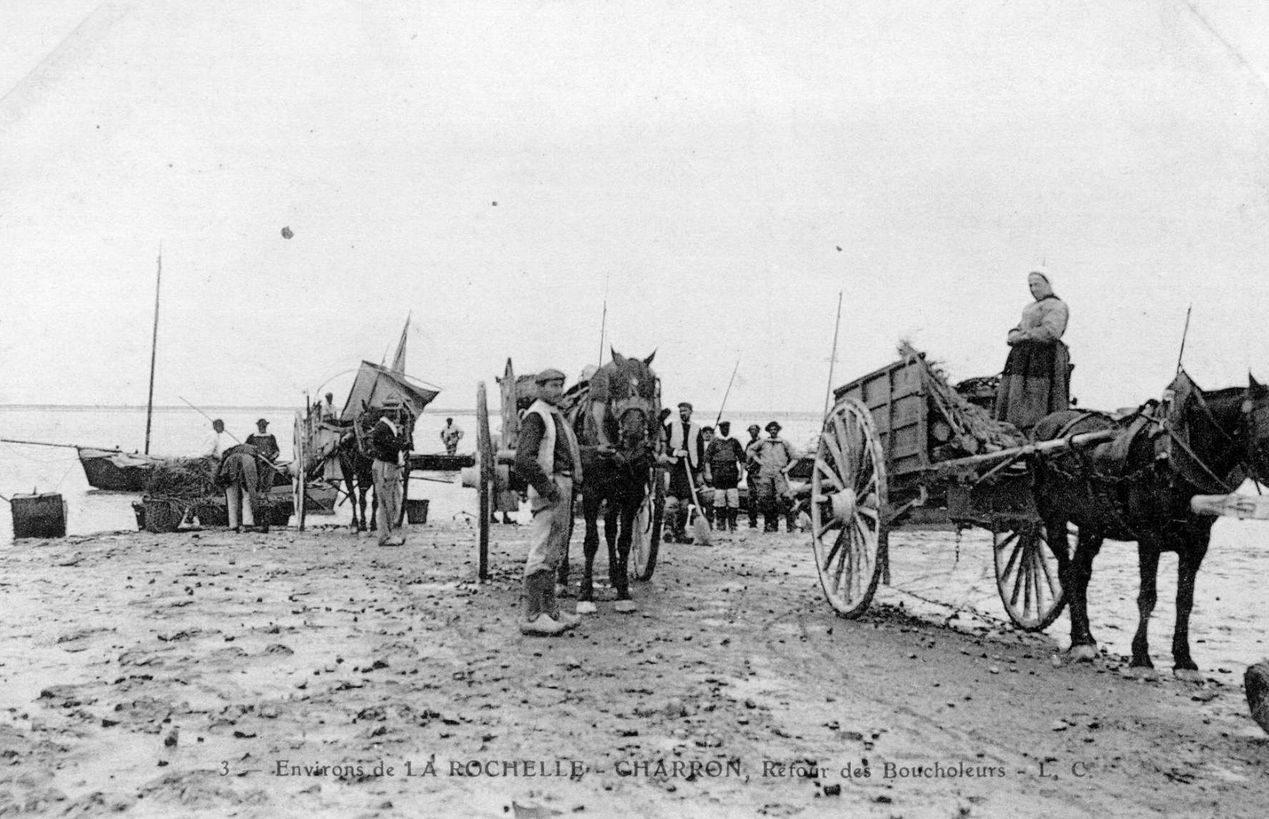 Le chargement des moules ramenées par les boucholeurs au port du Pavé, vers 1900.