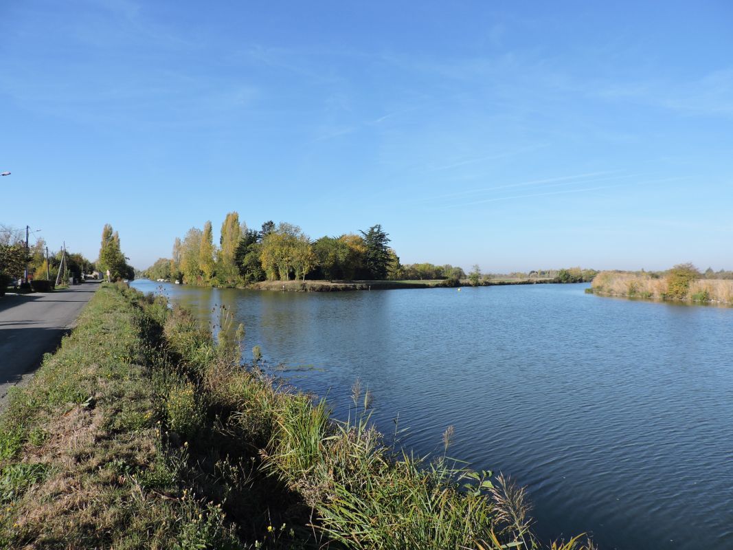 La Sèvre à la confluence entre son cours principal, à gauche, et la rivière du Moulin des Marais, à droite, en amont du port de Marans.