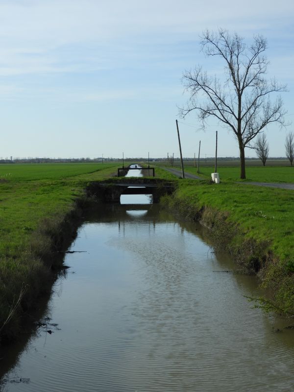 Le canal de la Brie au barrage du Clou Bouet, vu en direction du sud-est.
