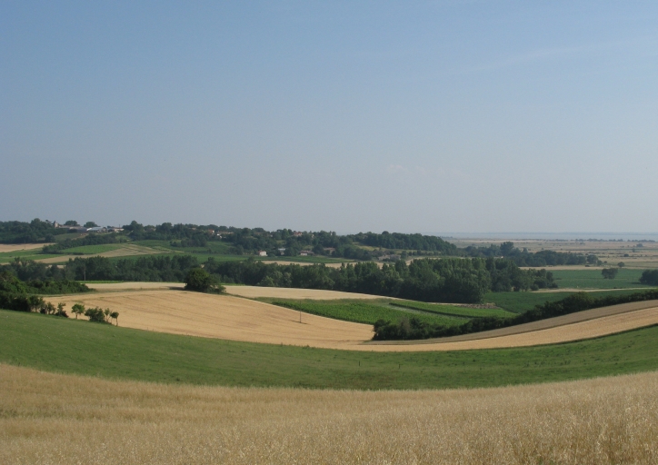 Le promontoire de Cônac vu depuis le coteau de la Grassière au nord.