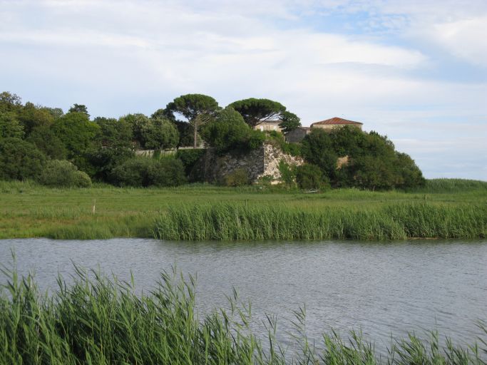 Les marais sur la rive gauche au-delà de la digue, au pied du château.
