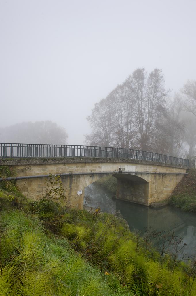 Ensemble vu côté amont depuis la rive gauche.