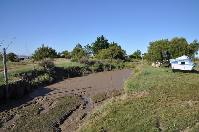 Bras du chenal à marée basse.