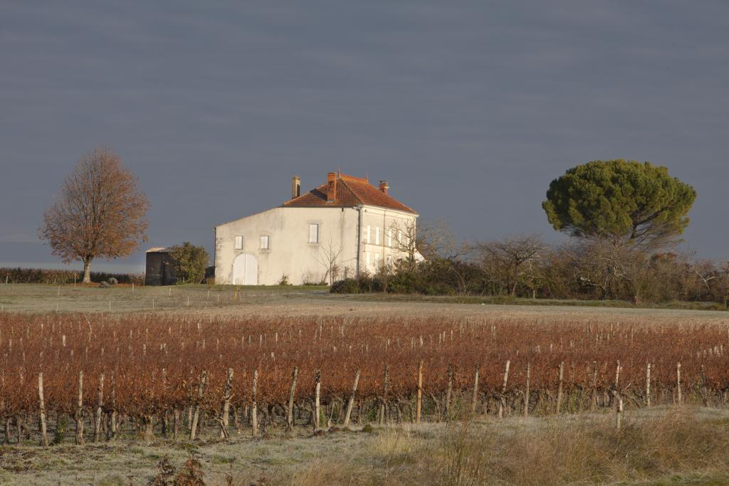 Maison de maître au milieu des vignes, au Moulin de Biron.